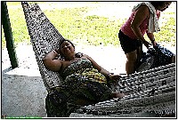 Plonsen - nr. 0067